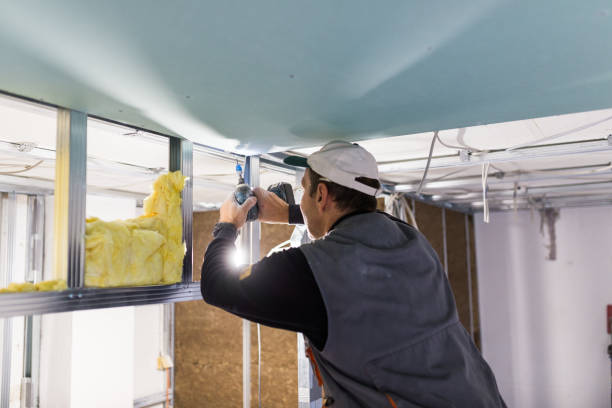 Eco-Friendly or Green Insulation Solutions in Greilickville, MI