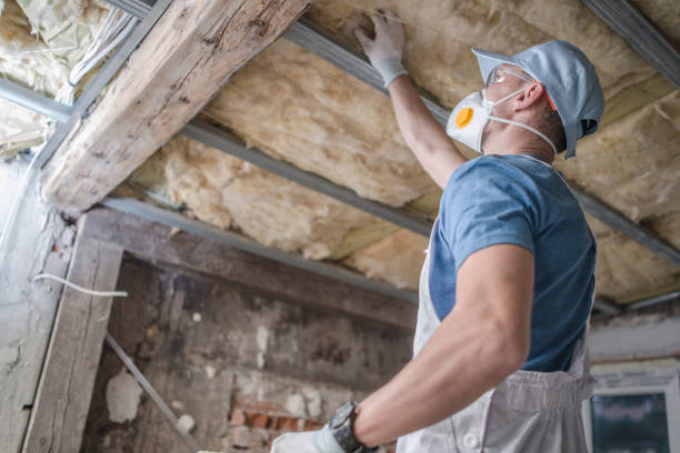 Best Spray Foam Insulation  in Greilickville, MI